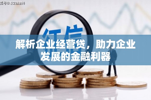 路环岛解析企业经营贷，助力企业发展的金融利器