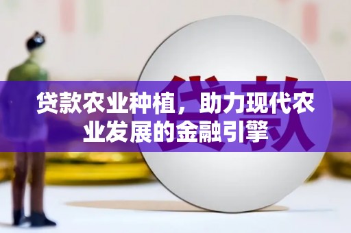 路环岛贷款农业种植，助力现代农业发展的金融引擎