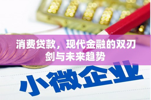 路环岛消费贷款，现代金融的双刃剑与未来趋势