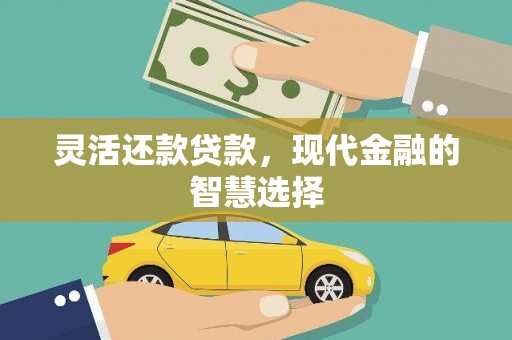 路环岛灵活还款贷款，现代金融的智慧选择