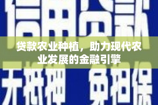 路环岛贷款农业种植，助力现代农业发展的金融引擎