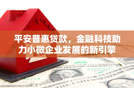 路环岛平安普惠贷款，金融科技助力小微企业发展的新引擎