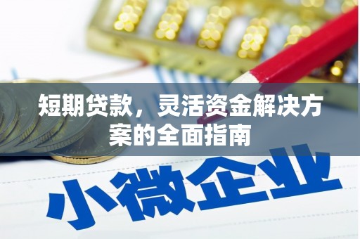 路环岛短期贷款，灵活资金解决方案的全面指南