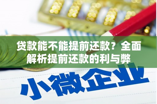 路环岛贷款能不能提前还款？全面解析提前还款的利与弊