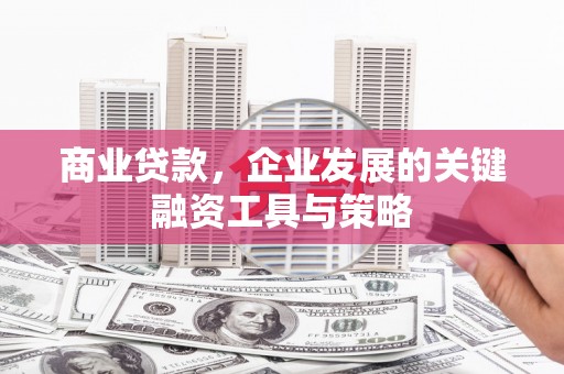 路环岛商业贷款，企业发展的关键融资工具与策略