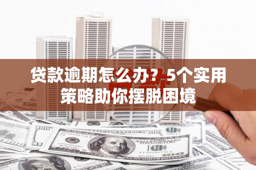 路环岛贷款逾期怎么办？5个实用策略助你摆脱困境