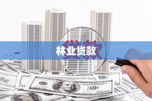 路环岛林业贷款