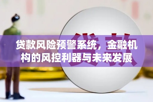 路环岛贷款风险预警系统，金融机构的风控利器与未来发展