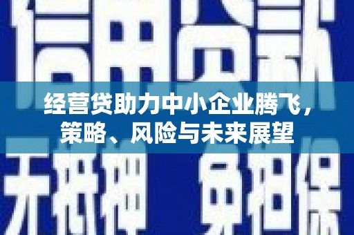 路环岛经营贷助力中小企业腾飞，策略、风险与未来展望