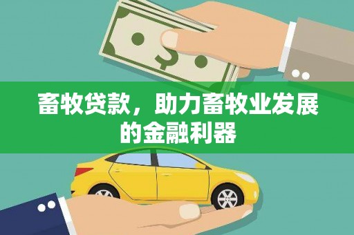 路环岛畜牧贷款，助力畜牧业发展的金融利器