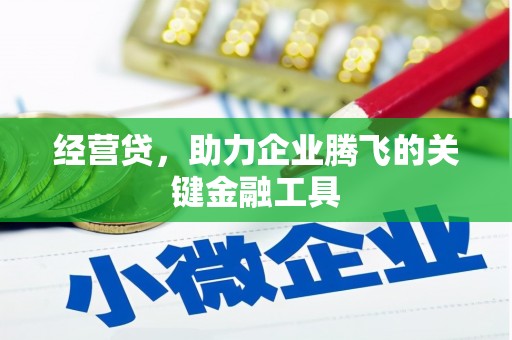 路环岛经营贷，助力企业腾飞的关键金融工具