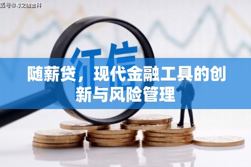 路环岛随薪贷，现代金融工具的创新与风险管理