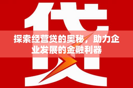 路环岛探索经营贷的奥秘，助力企业发展的金融利器