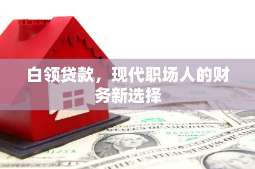 路环岛白领贷款，现代职场人的财务新选择