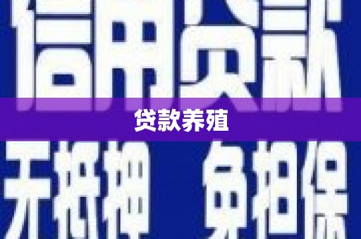 路环岛贷款养殖