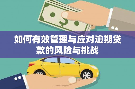 路环岛如何有效管理与应对逾期贷款的风险与挑战