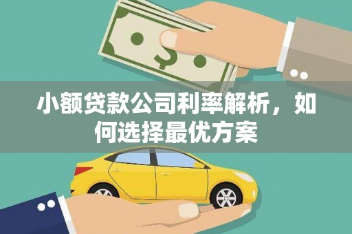路环岛小额贷款公司利率解析，如何选择最优方案