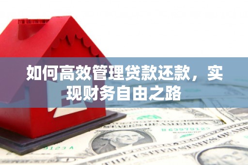 路环岛如何高效管理贷款还款，实现财务自由之路
