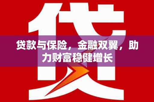 路环岛贷款与保险，金融双翼，助力财富稳健增长