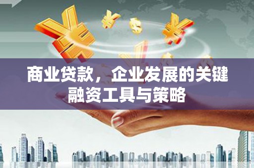 路环岛商业贷款，企业发展的关键融资工具与策略