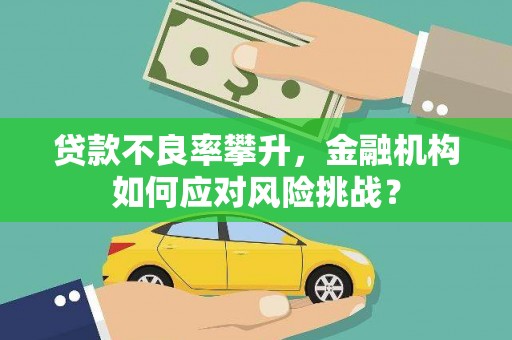 路环岛贷款不良率攀升，金融机构如何应对风险挑战？