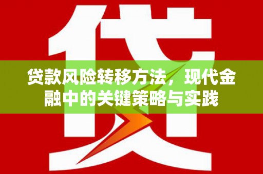 路环岛贷款风险转移方法，现代金融中的关键策略与实践