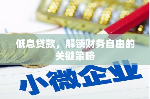 路环岛低息贷款，解锁财务自由的关键策略