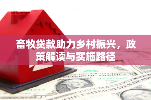 路环岛畜牧贷款助力乡村振兴，政策解读与实施路径