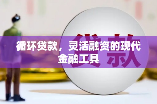 路环岛循环贷款，灵活融资的现代金融工具