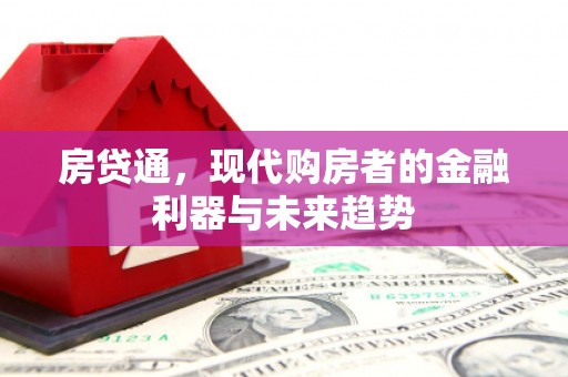路环岛房贷通，现代购房者的金融利器与未来趋势