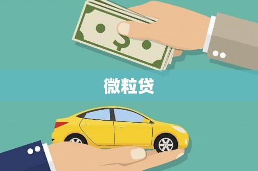路环岛微粒贷