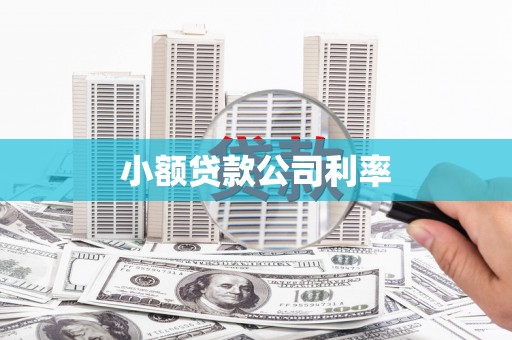 路环岛小额贷款公司利率