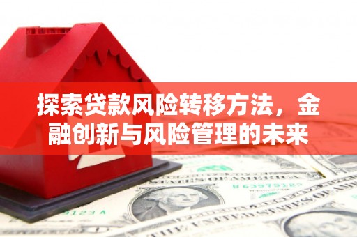 路环岛探索贷款风险转移方法，金融创新与风险管理的未来