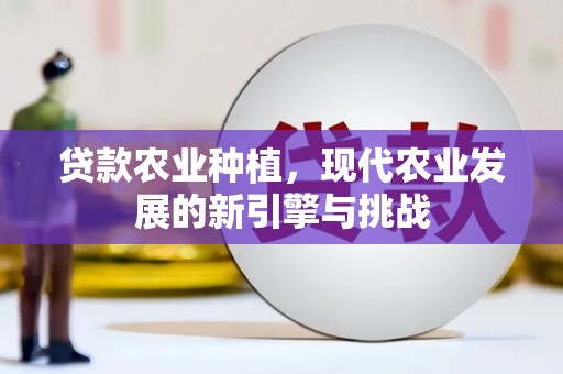 路环岛贷款农业种植，现代农业发展的新引擎与挑战