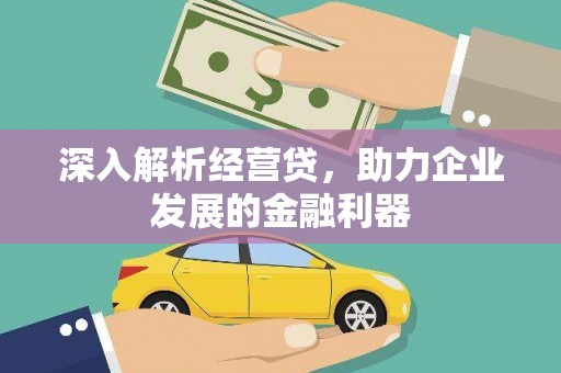 路环岛深入解析经营贷，助力企业发展的金融利器