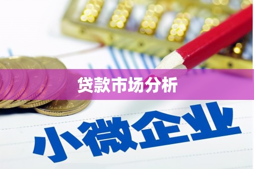 路环岛贷款市场分析