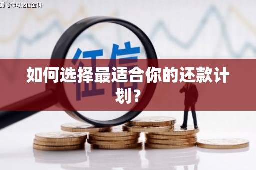 路环岛如何选择最适合你的还款计划？