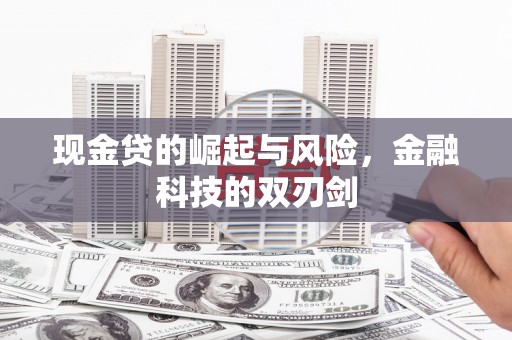 路环岛现金贷的崛起与风险，金融科技的双刃剑