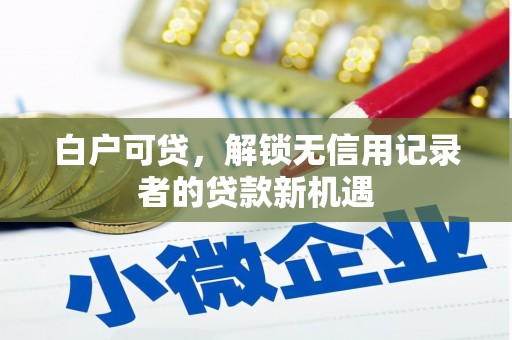 路环岛白户可贷，解锁无信用记录者的贷款新机遇