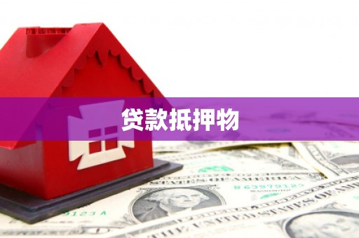 路环岛贷款抵押物