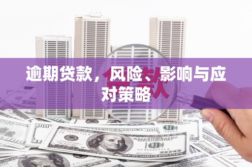 路环岛逾期贷款，风险、影响与应对策略