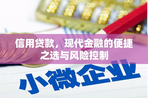 路环岛信用贷款，现代金融的便捷之选与风险控制