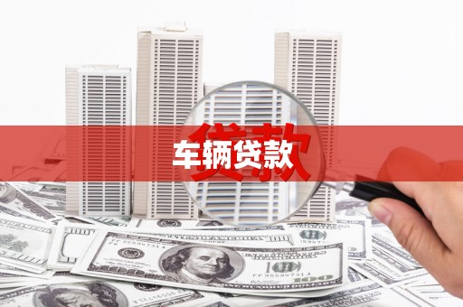 路环岛车辆贷款