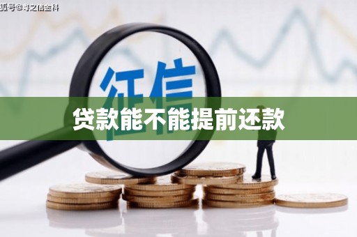 路环岛贷款能不能提前还款