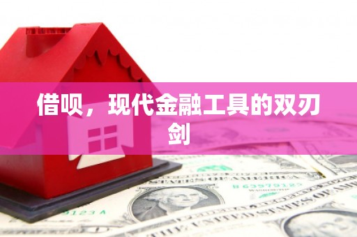 路环岛借呗，现代金融工具的双刃剑