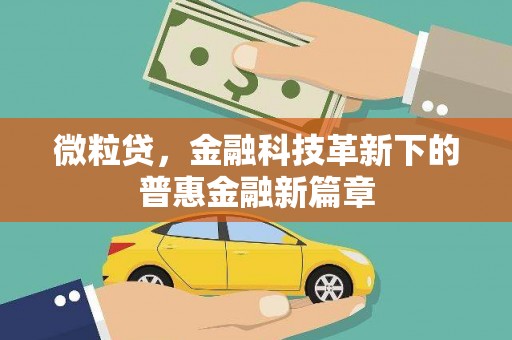 路环岛微粒贷，金融科技革新下的普惠金融新篇章