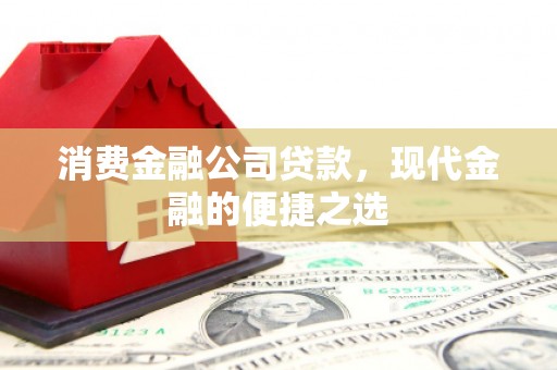 路环岛消费金融公司贷款，现代金融的便捷之选