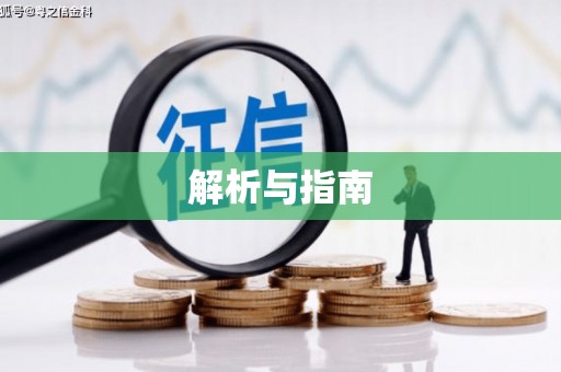 路环岛解析与指南
