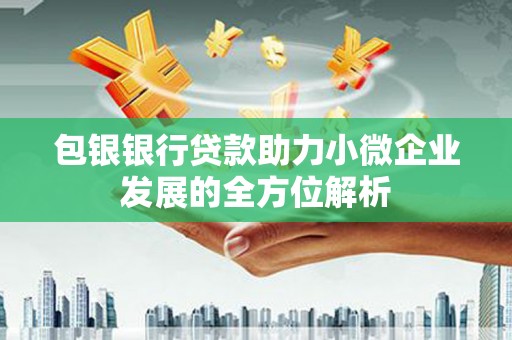 路环岛包银银行贷款助力小微企业发展的全方位解析