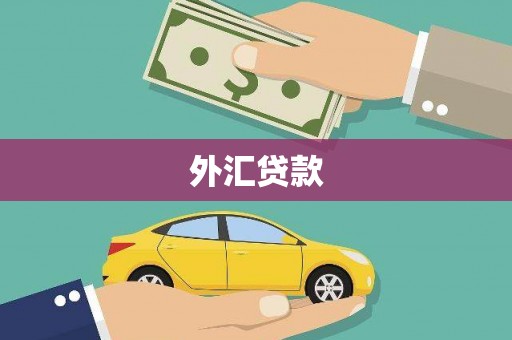 路环岛外汇贷款